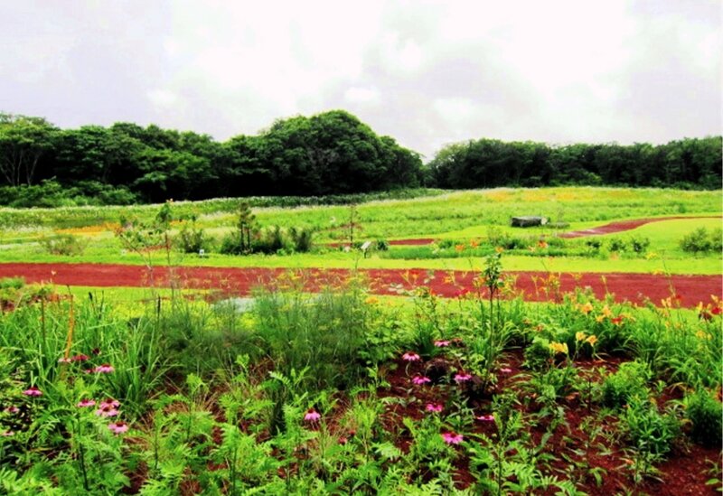 Flower Garden Landscape