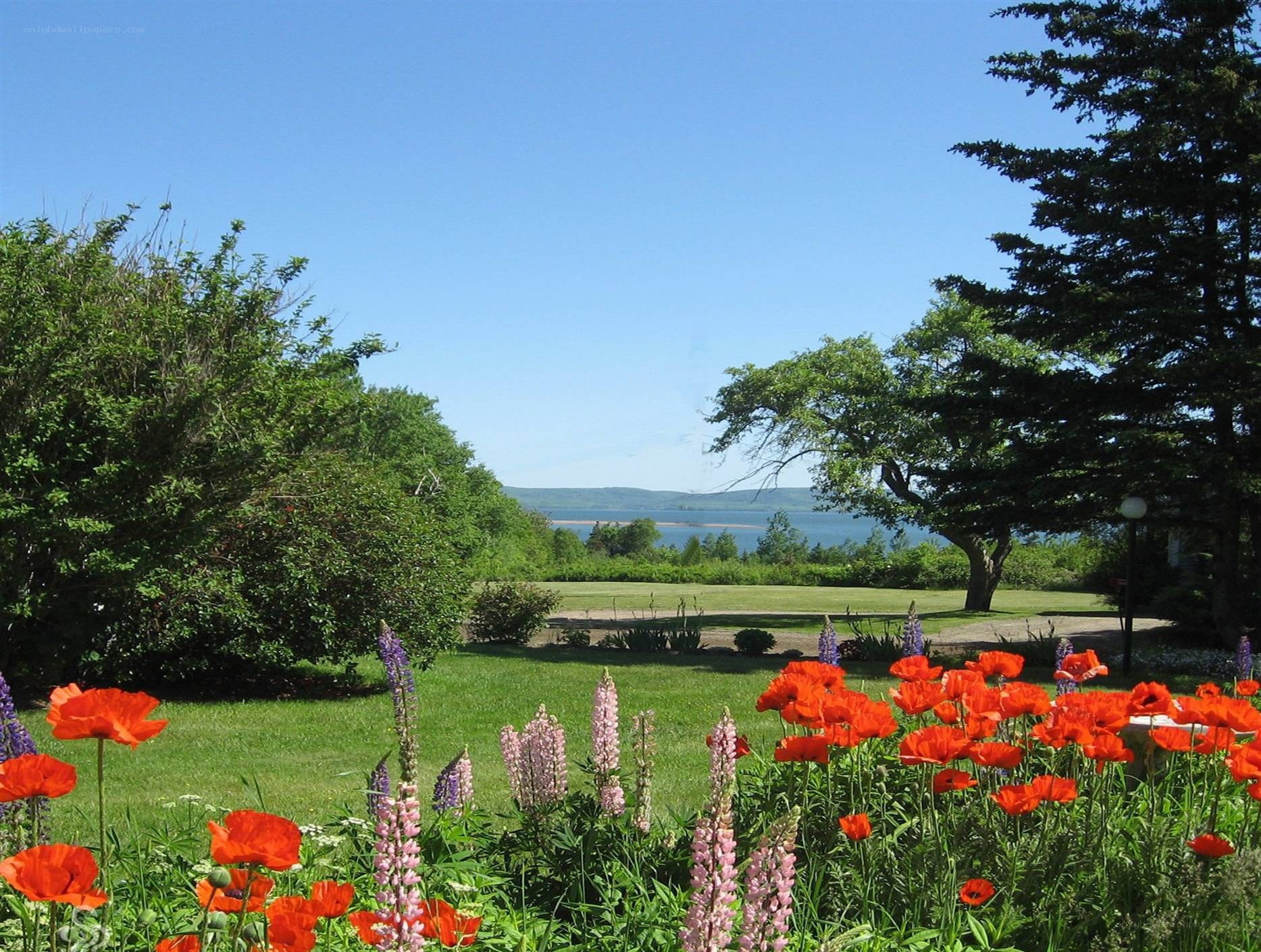 Flower garden overlooking a lake