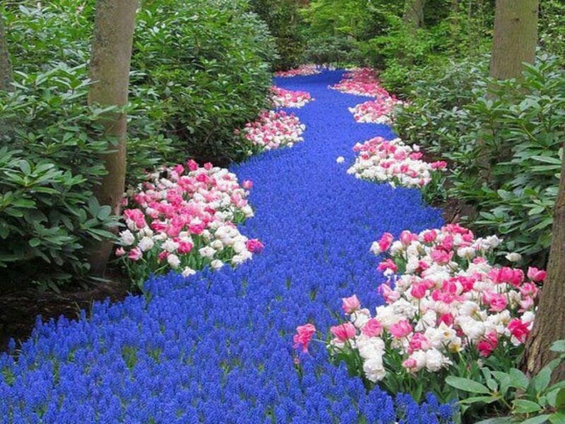 Flower Garden Path — Blue