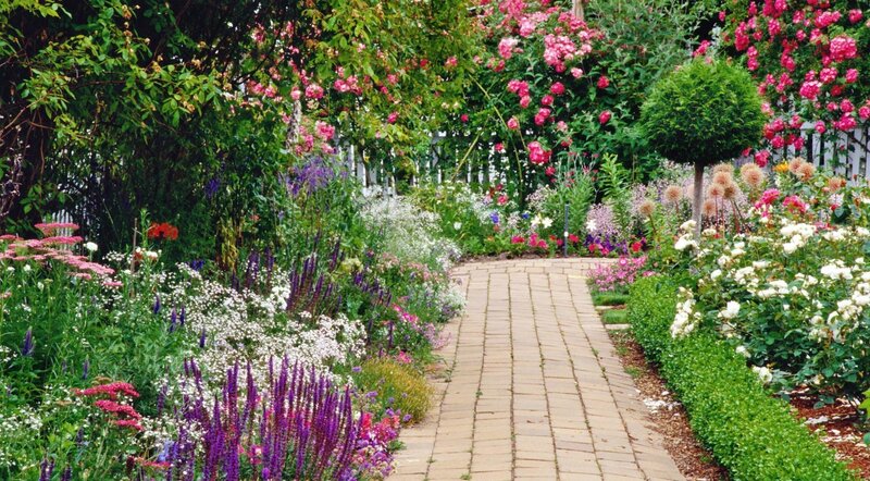 Flower Garden Path — Green, Serene, Summer