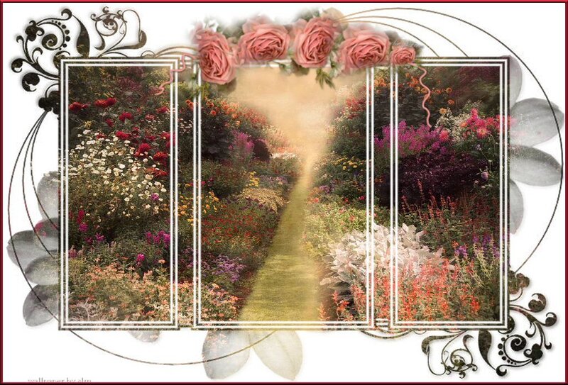 Flower Garden Path — Pink, Serene, Afternoon