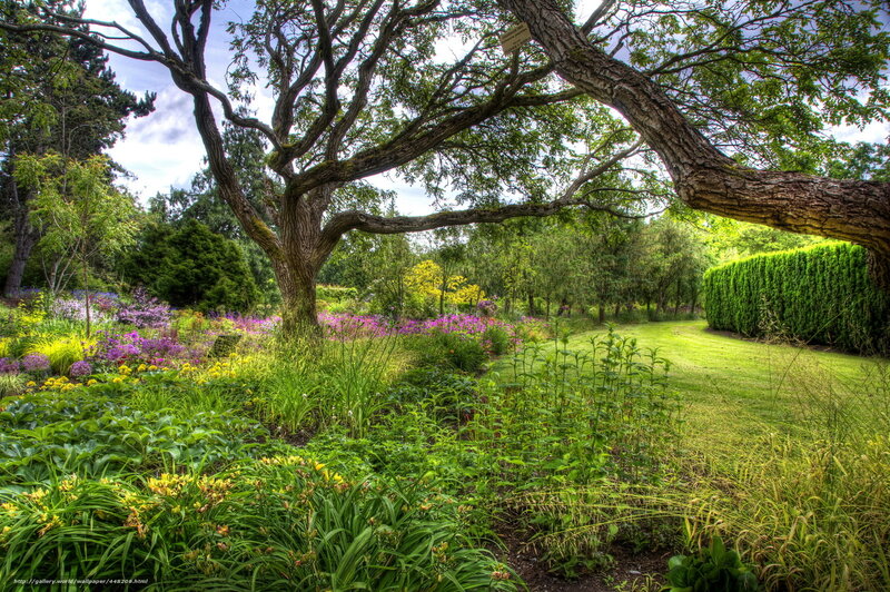 Flower Garden under Tree
