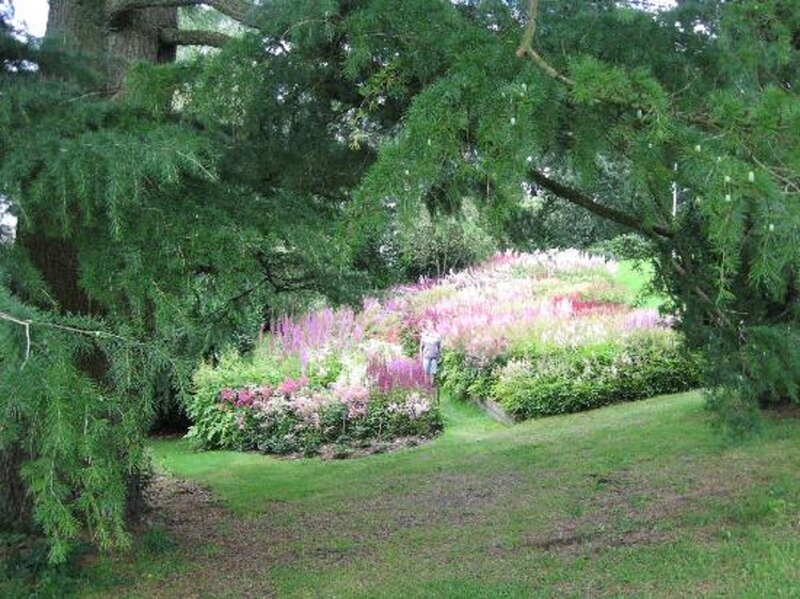 Flower Garden under Trees