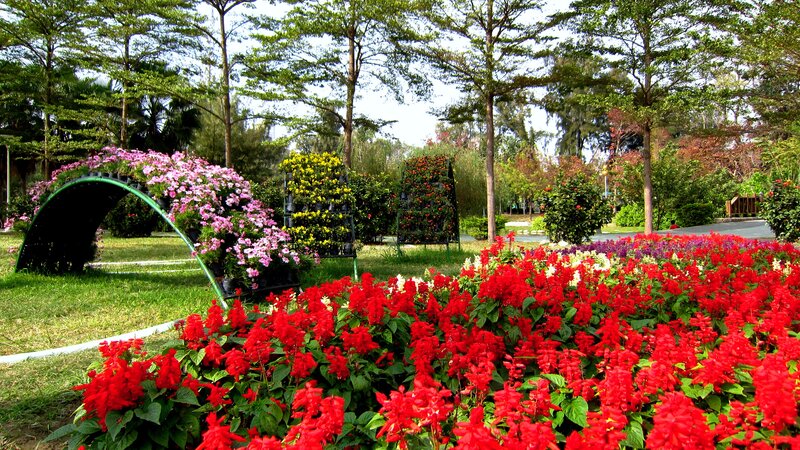 Flower Garden with Arch