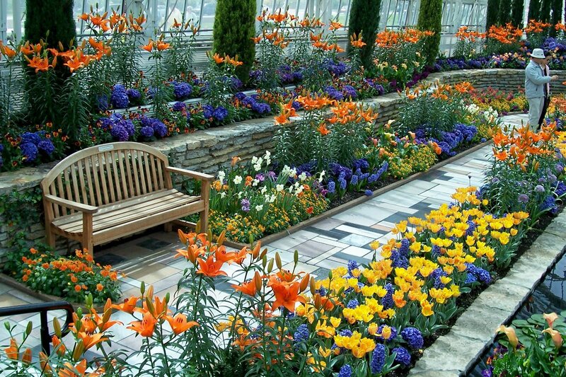 Flower Garden with Bench — Orange