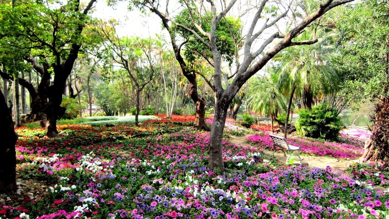 Flower Garden with Bench — Purple