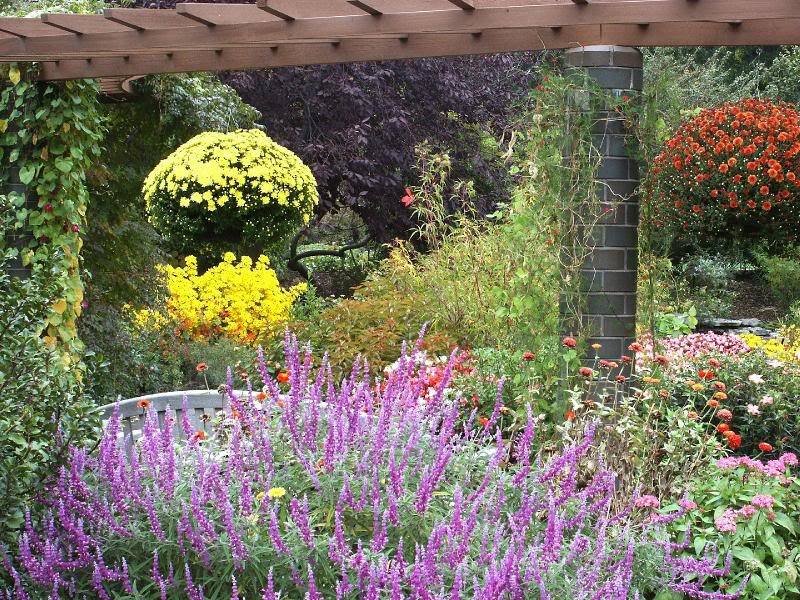 Flower Garden with Bench