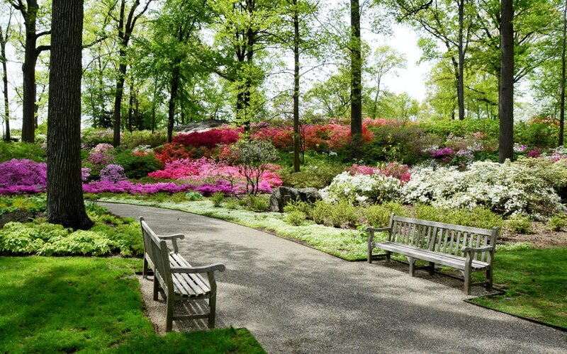 Flower Garden with Benches — Green