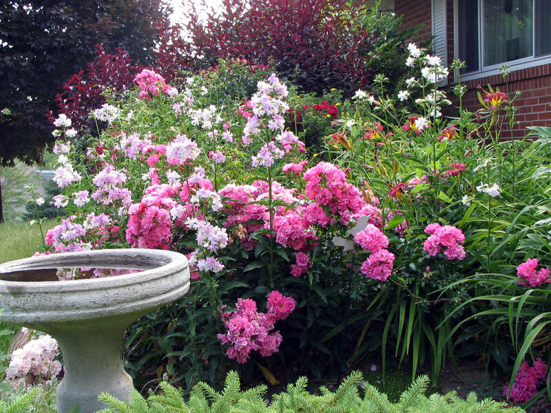Flower Garden with Birdbath