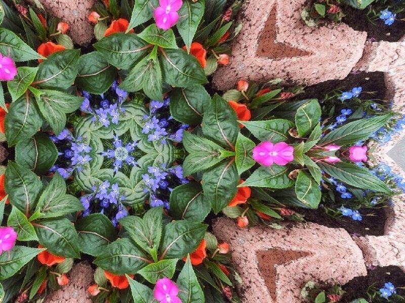 Flower Garden with Bricks
