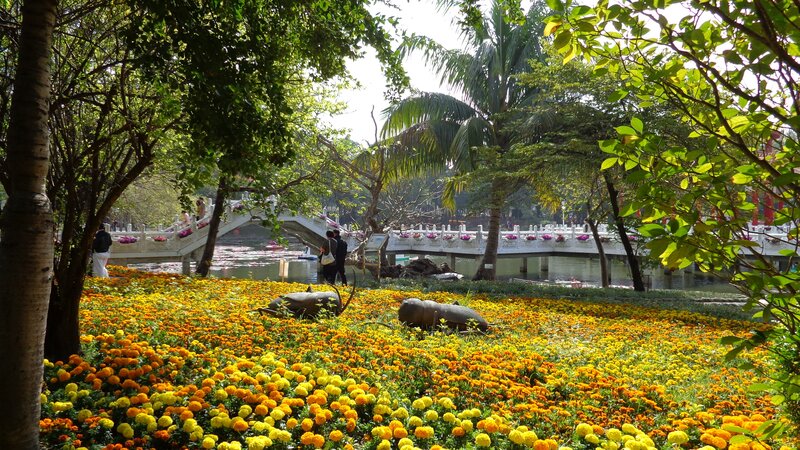 Flower garden with bridge