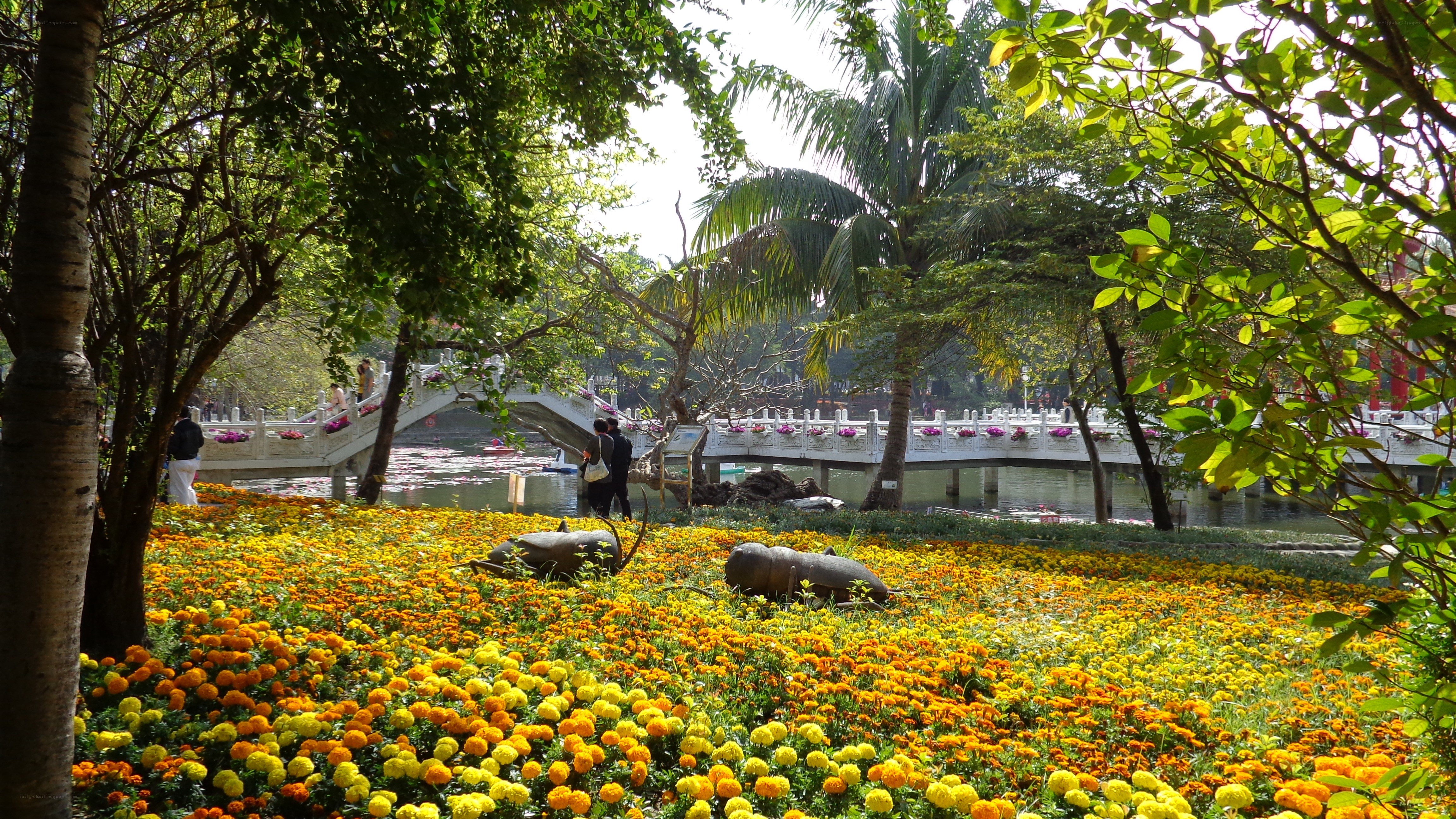 Flower garden with bridge