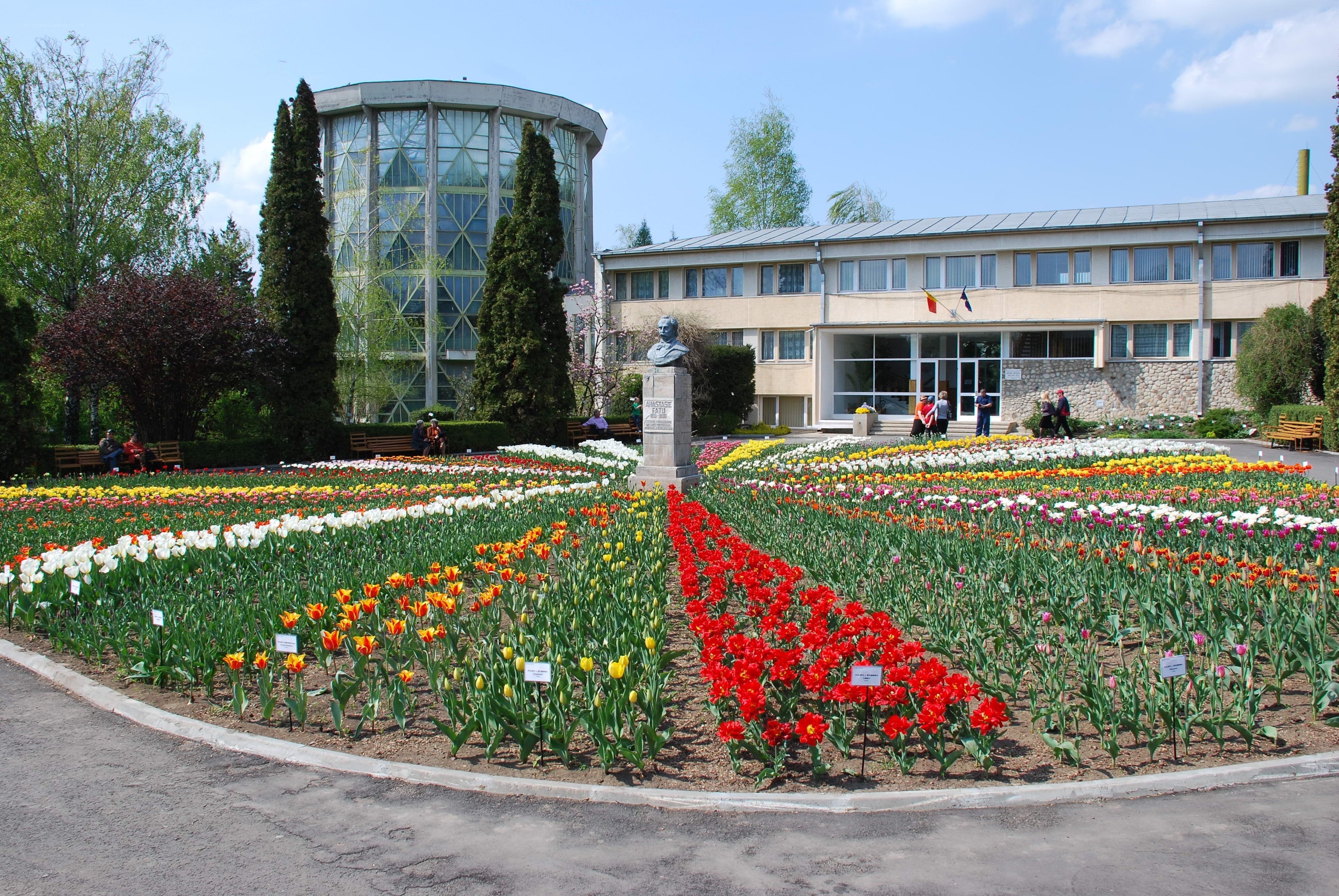 Flower garden with bust and greenhouse