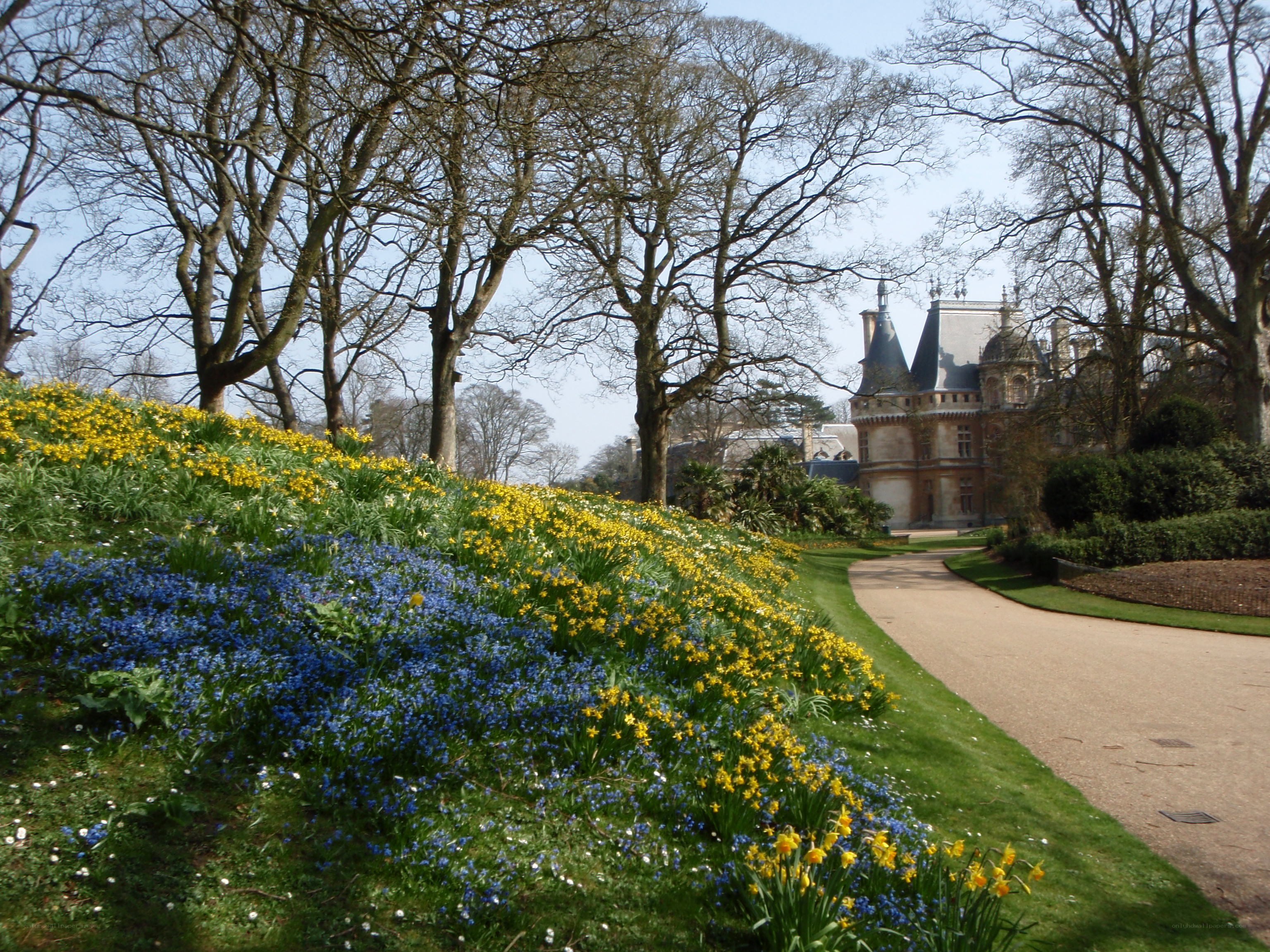 Flower garden with castle in background