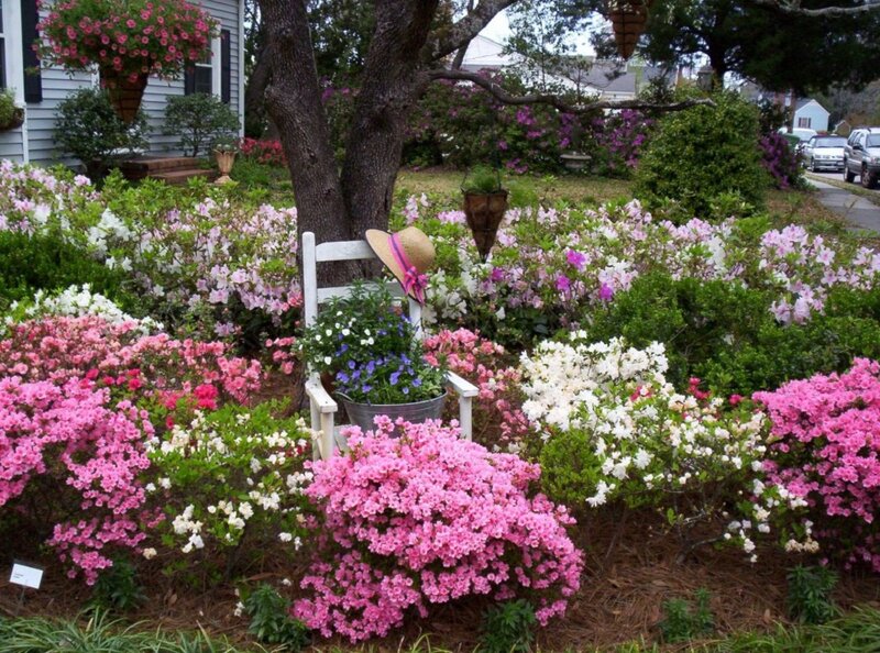 Flower Garden with Chair