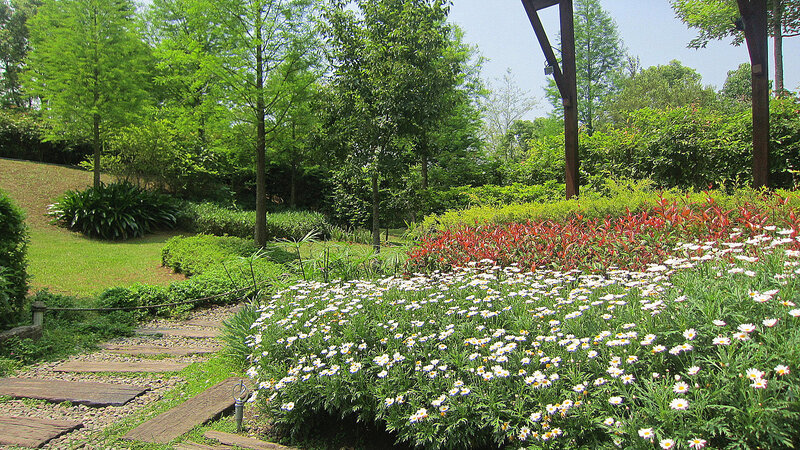 Flower Garden with Daisies