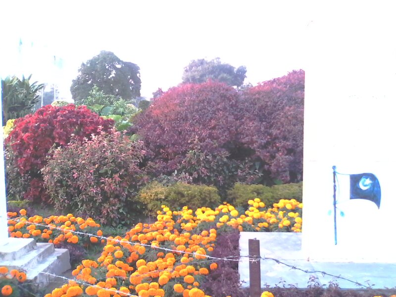 Flower Garden with Flag — Orange