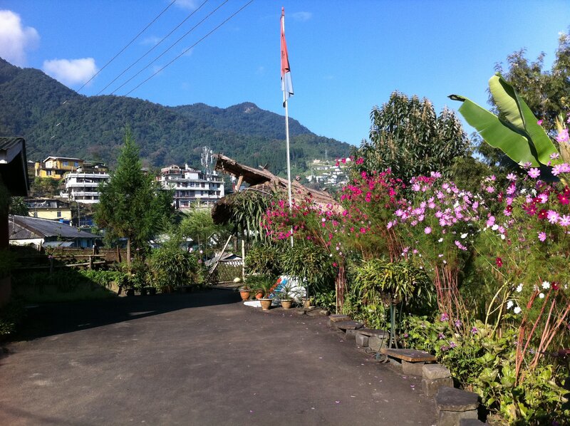 Flower Garden with Flag