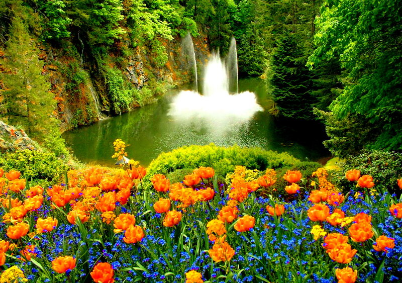 Flower Garden with Fountain — Orange
