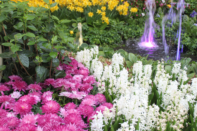 Flower Garden with Fountain — Pink