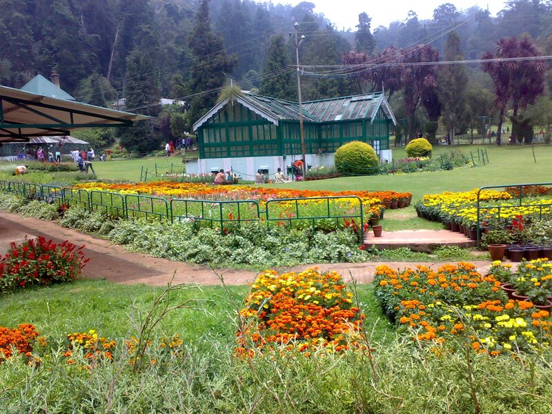 Flower Garden with Greenhouse