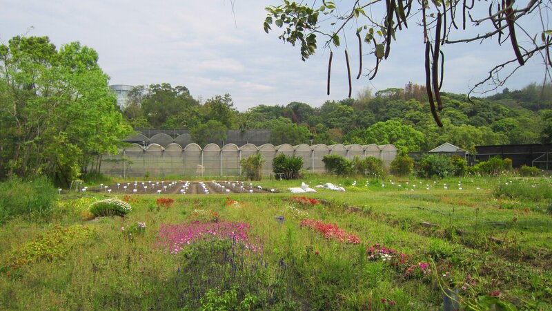 Flower Garden with Greenhouses