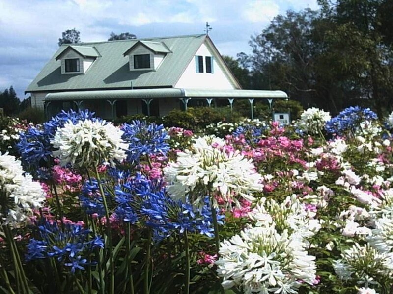 Flower Garden with House — Blue