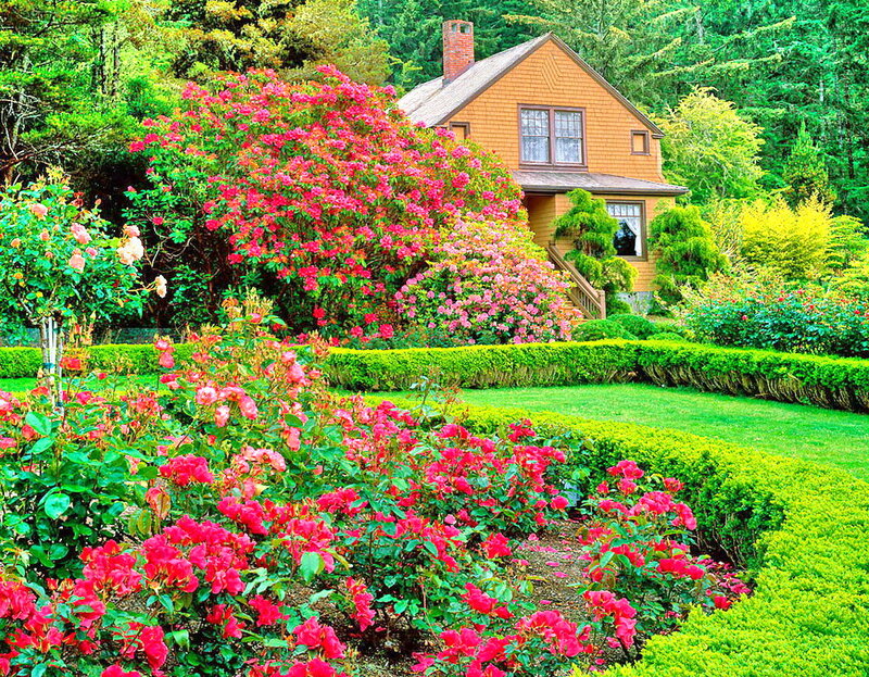 Flower Garden with House — Green, Serene, Spring