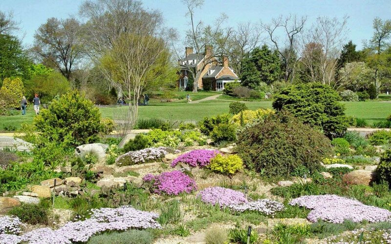 Flower Garden with House — Green, Serene