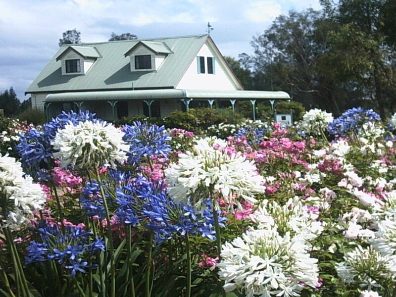 Flower garden with house in background
