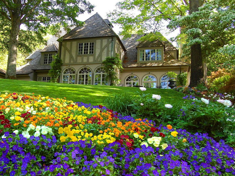 Flower Garden with House — Purple
