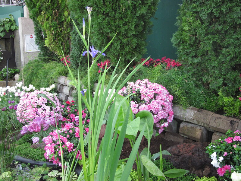 Flower Garden with Iris