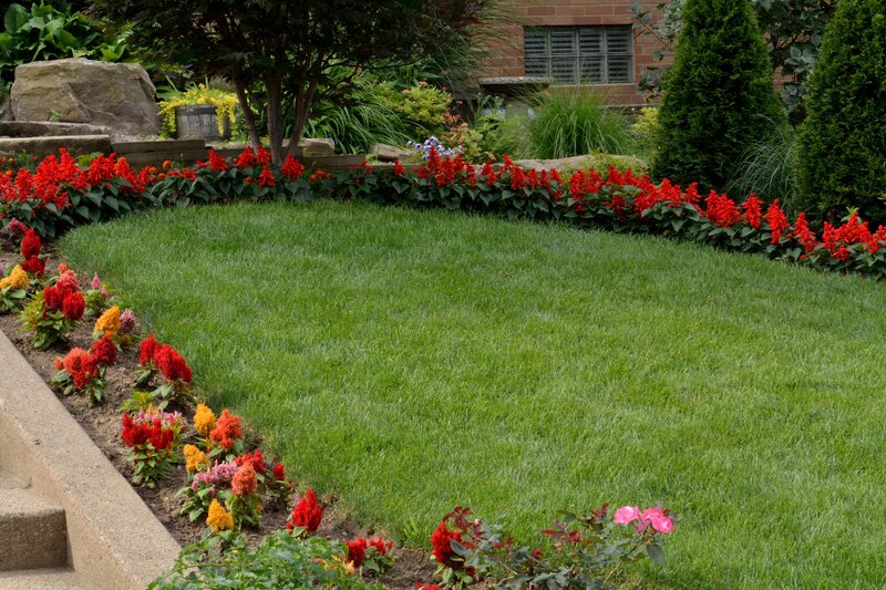 Flower Garden with Lawn