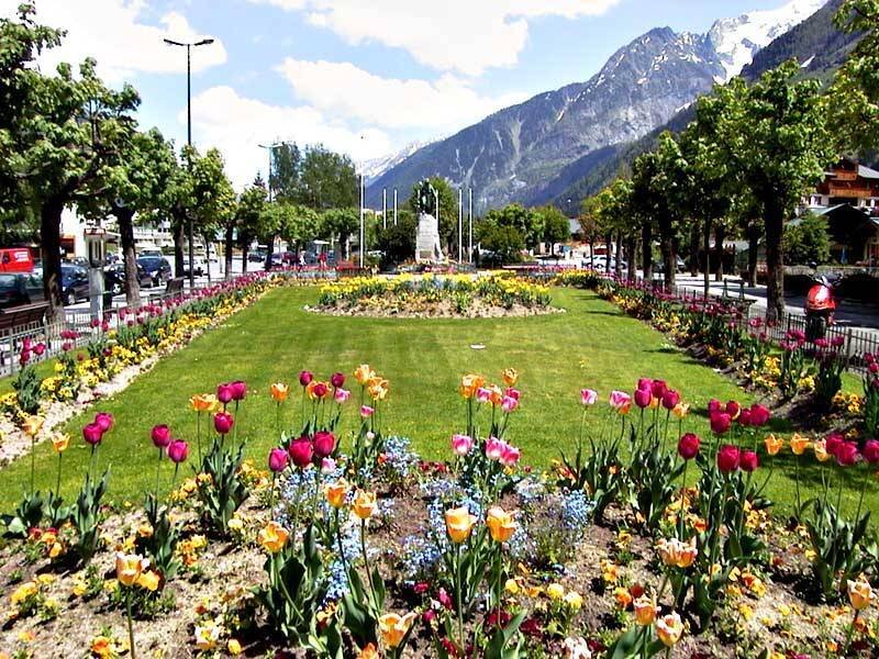 Flower garden with mountain view