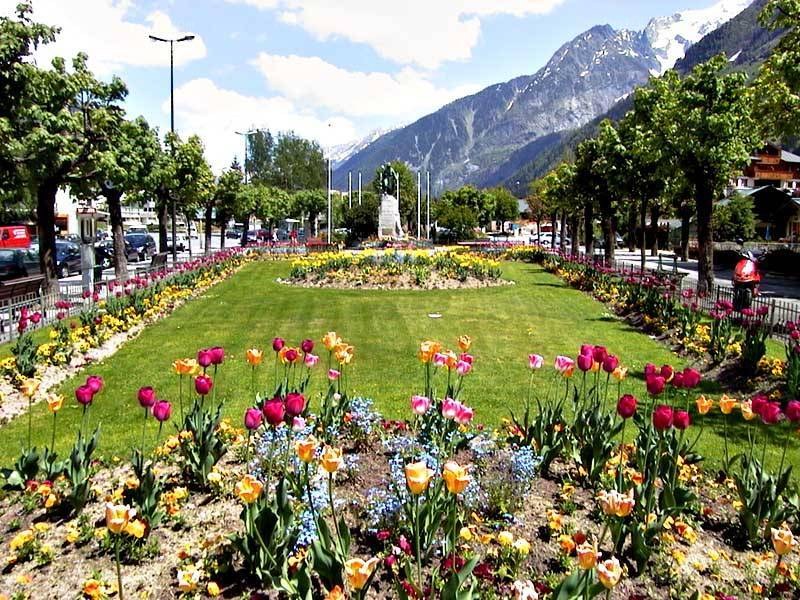 Flower garden with mountain view