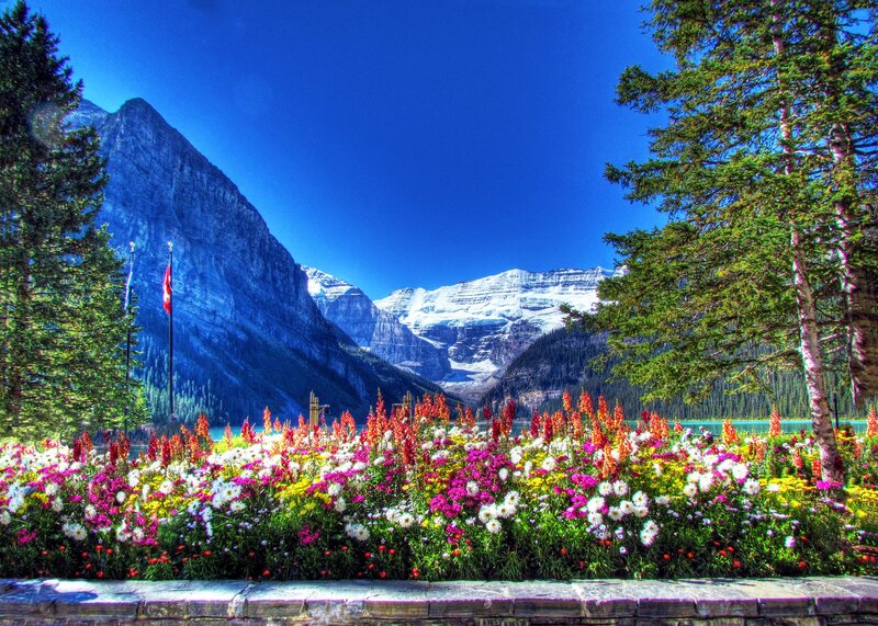 Flower Garden with Mountains — Blue, Serene