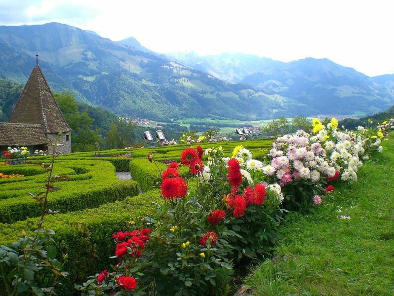Flower Garden with Mountains — Green, Serene