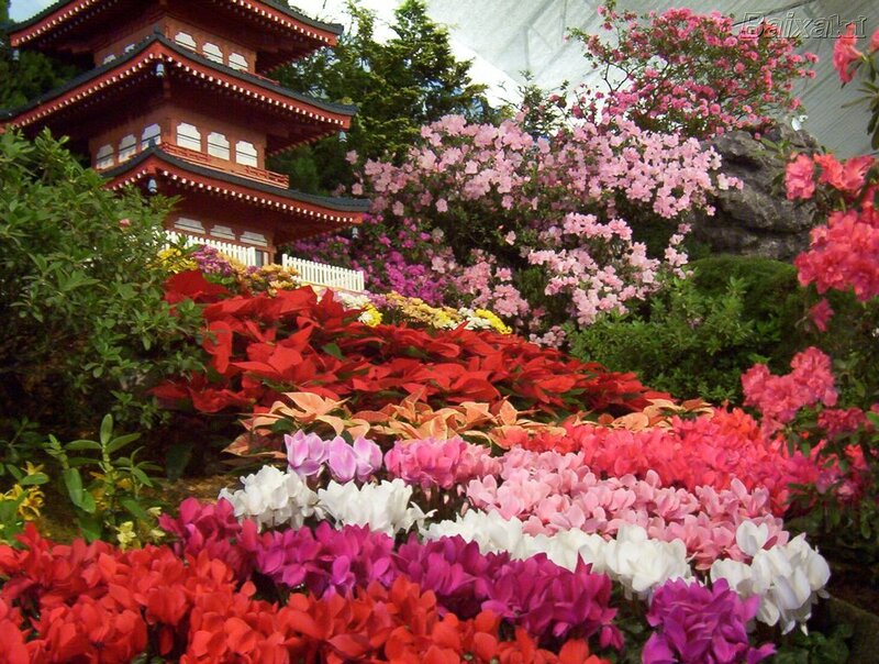 Flower Garden with Pagoda