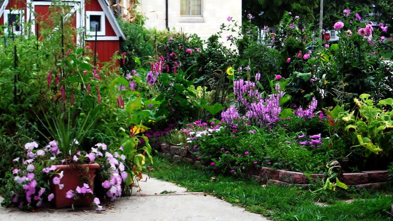 Flower Garden with Path