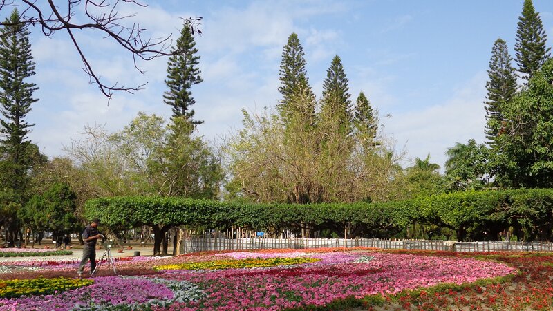 Flower garden with photographer