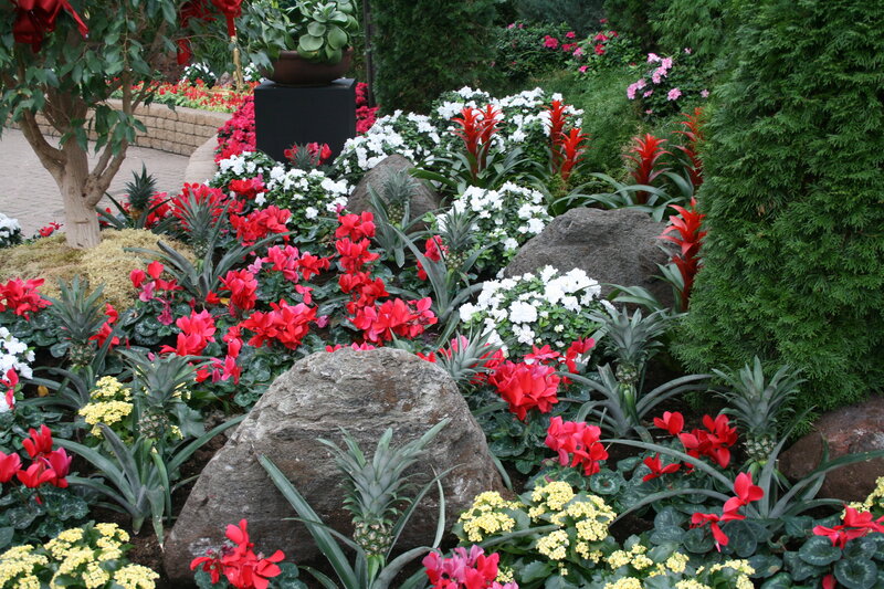 Flower Garden with Pineapples — Red
