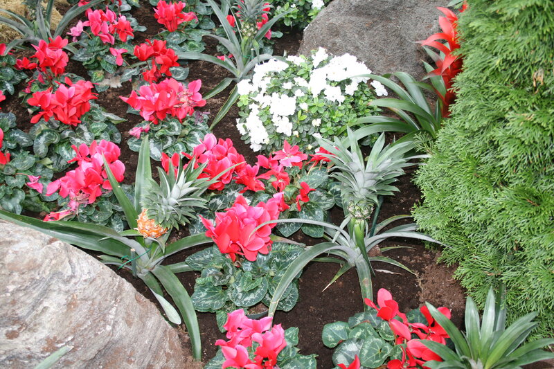 Flower Garden with Pineapples