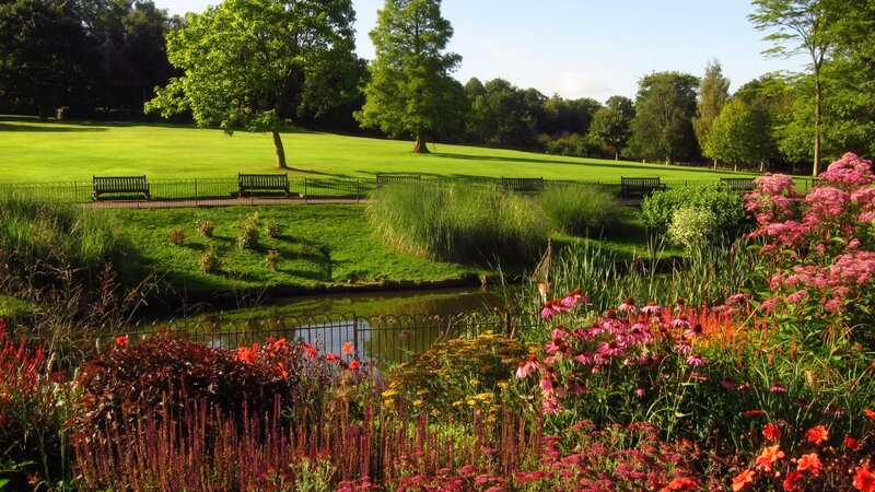 Flower Garden with Pond — Green, Serene, Afternoon, Photograph, Bench