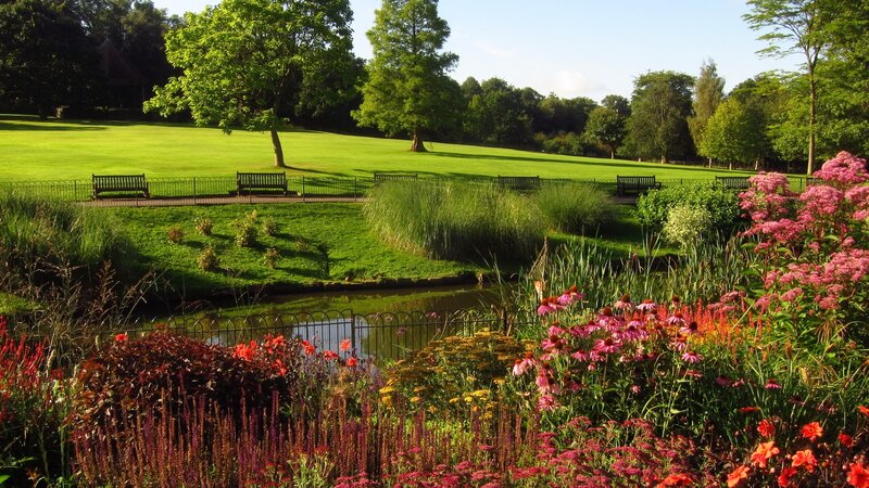 Flower Garden with Pond — Green, Serene, Afternoon, Photograph, Bench, Tree