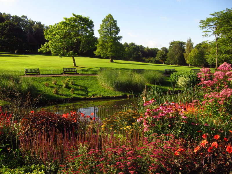 Flower Garden with Pond — Green, Serene, Afternoon, Photograph