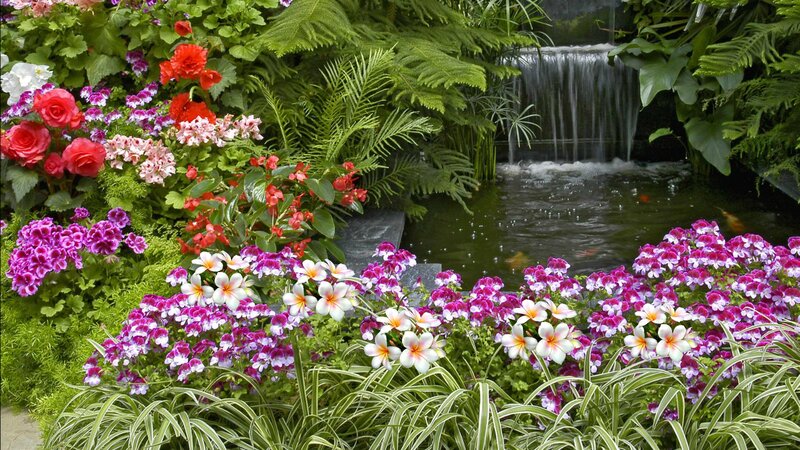 Flower Garden with Pond — Green, Serene, Afternoon