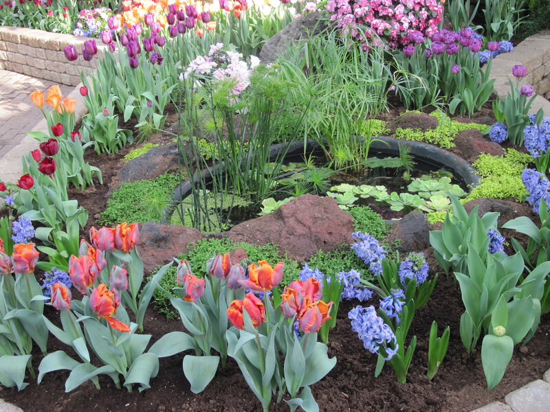 Flower Garden with Pond — Purple