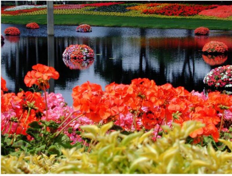 Flower Garden with Pond — Red, Serene