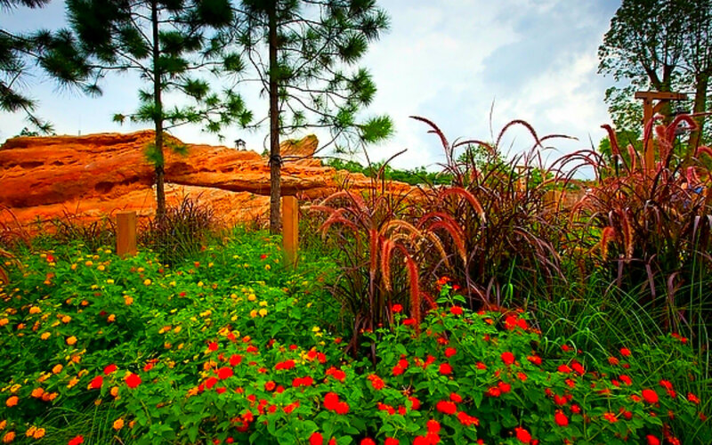 Flower Garden with Red Rocks