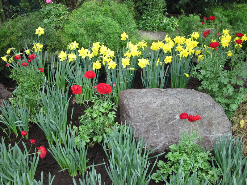 Flower Garden with Rock